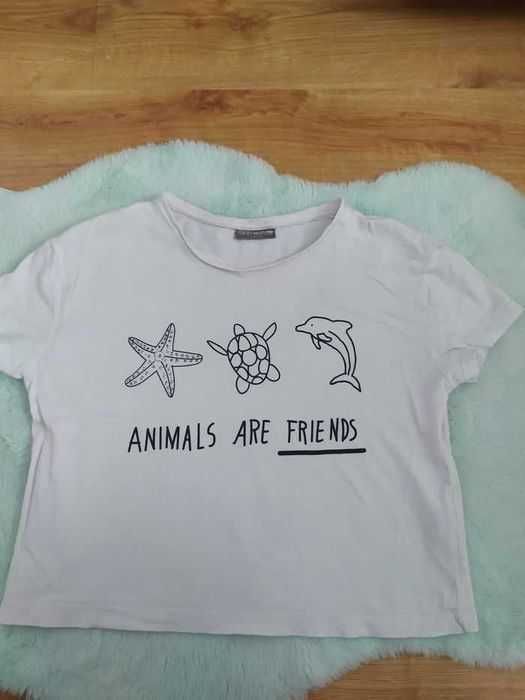 Nowa niższa cena! T-shirty dla dziewczynki (11 sztuk), rozmiar 146/152