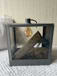 terrarium dla gadów