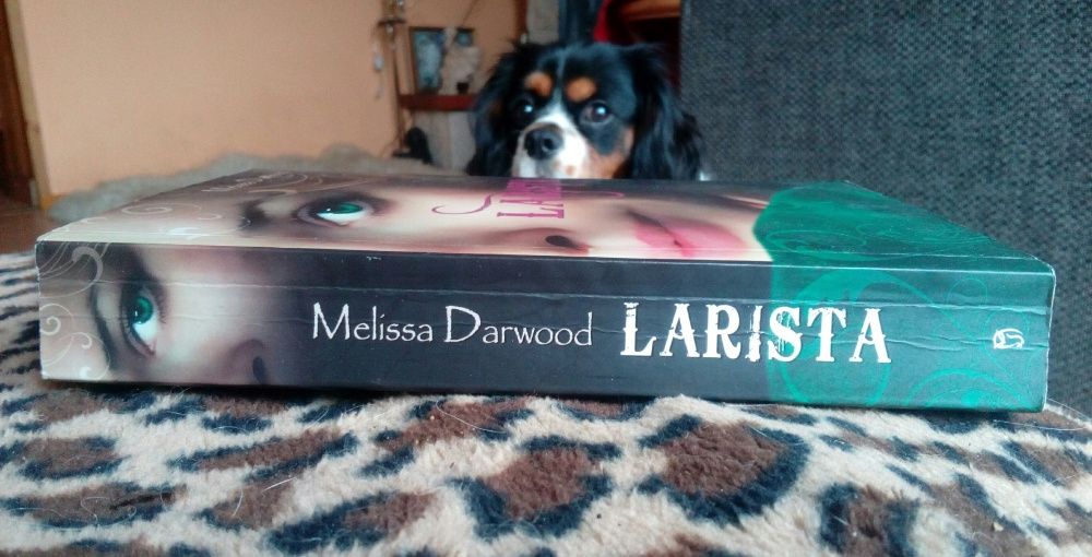 Larista - Melissa Darwood