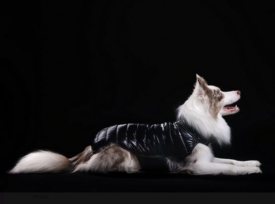 Wodoodporna ciepła kurteczka dla psa Chaba Kubrak Dopamine 3XL czarny