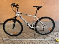Rower Górski MTB 26'' Bachini Creek