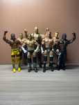 Zestaw WWE 7 figurek + ring CM PUNK TRIPLE H i inni!!!