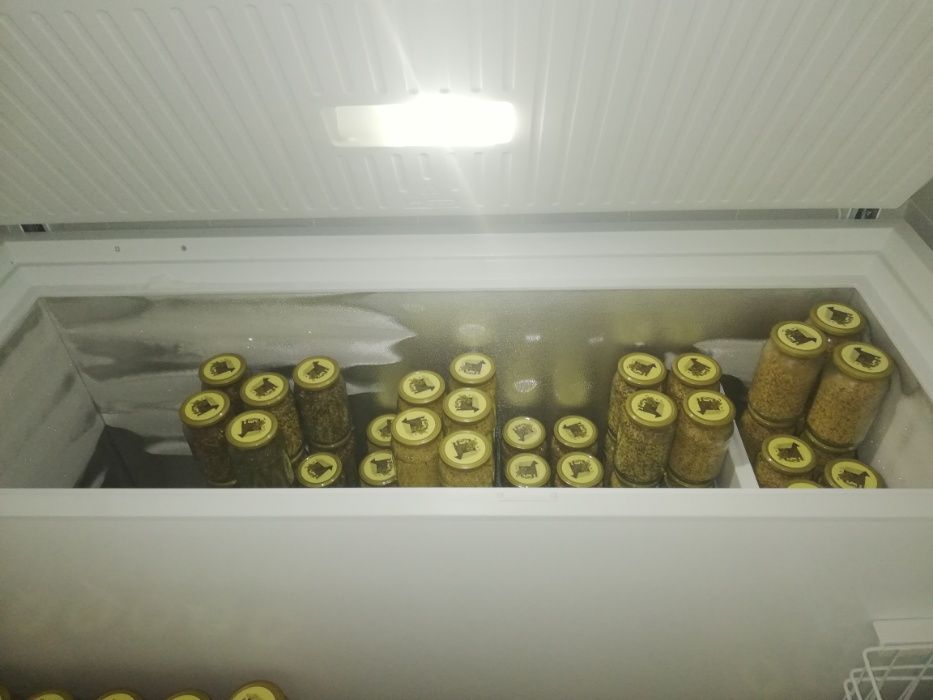 Pyłek kwiatowy 500 gram, wysyłka, Pasieka Władysławowo