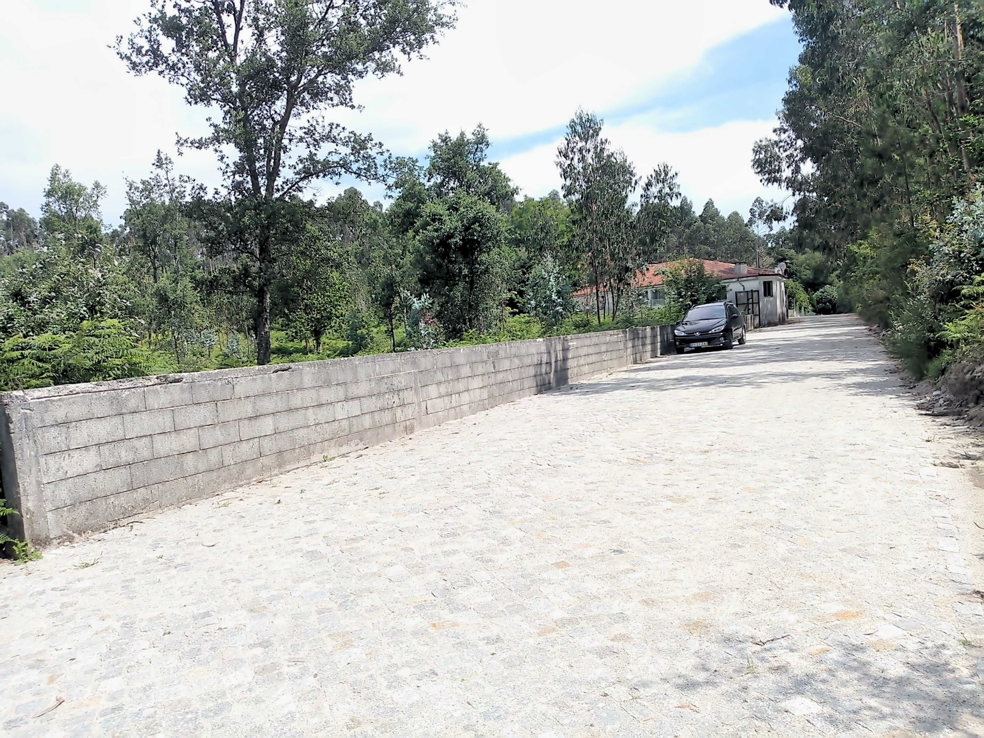 Terreno para Moradia no Monte Castro