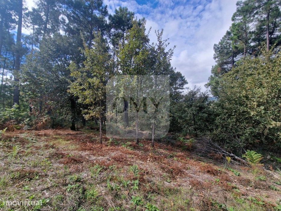 Terreno de 2.000 m2 em Adoufe, Vila Real