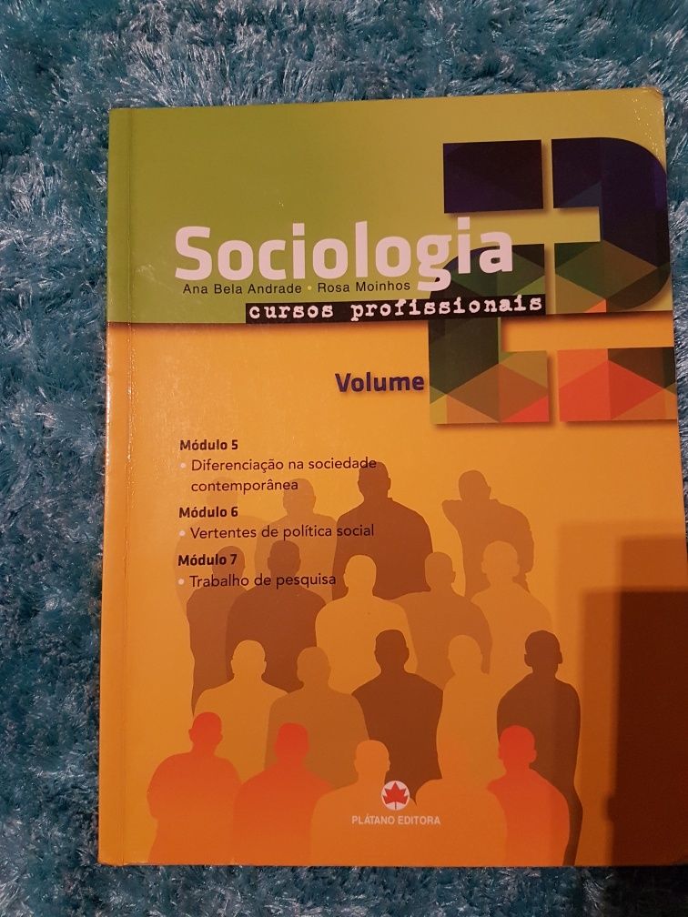 Sociologia volume 2