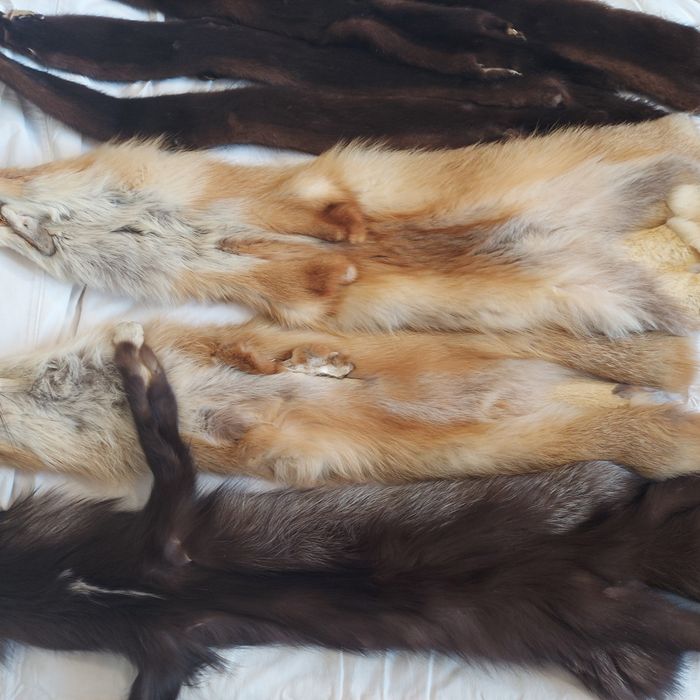Хутро натуральне для шуби або на комір