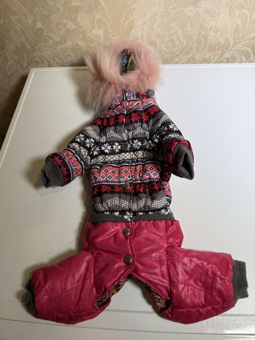 Одежда для собак