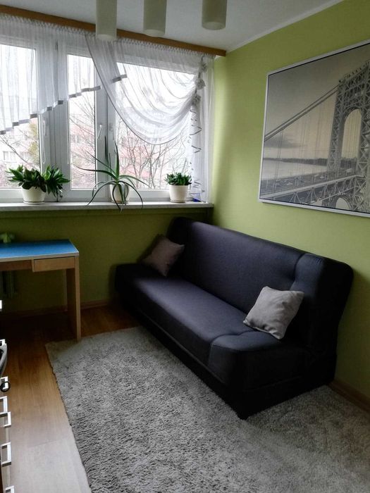 Wynajmę zadbany pokój w centrum, blisko Dworca i galerii Wroclavia