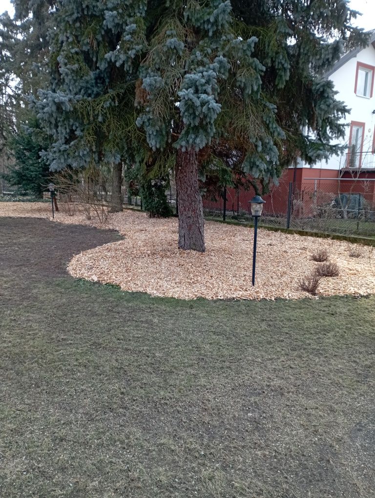 Zrębki pod rośliny