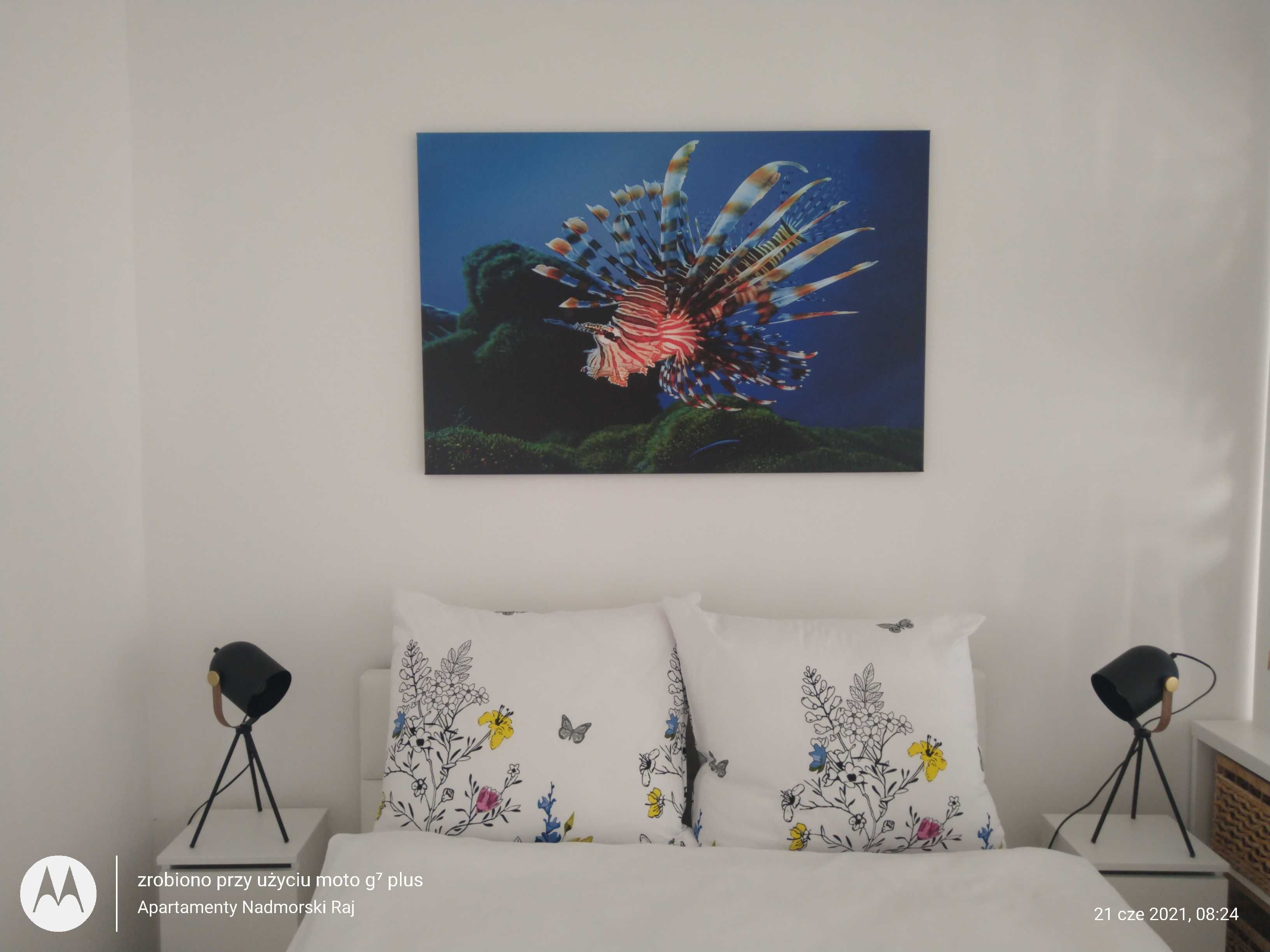 Apartamenty nad Morzem ROWY Nadmorska/WOLNY 24.08. z widokiem na morze