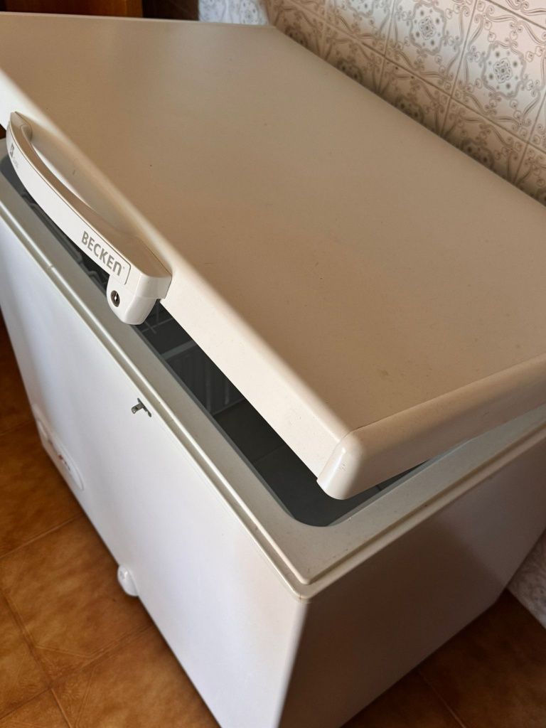 Arca congeladora freezer