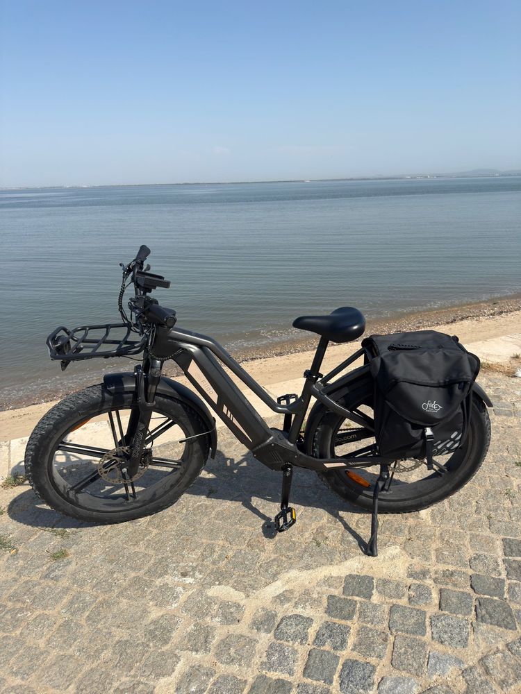 Bike Eletrica Fiido