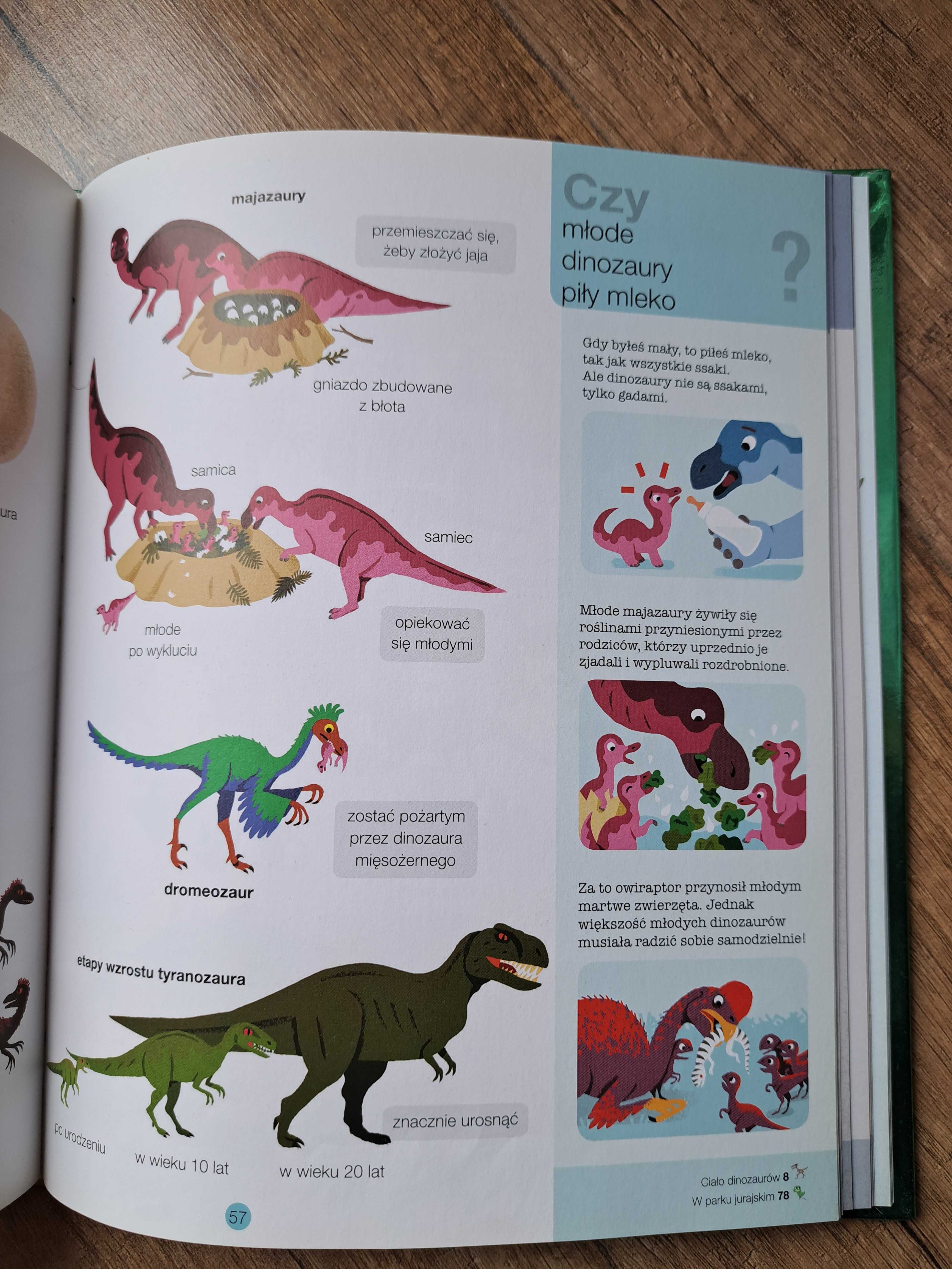 Pierwsza encyklopedia Dinozaury