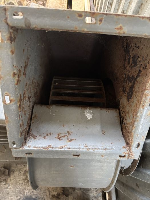 Равлик, витяжка, улітка