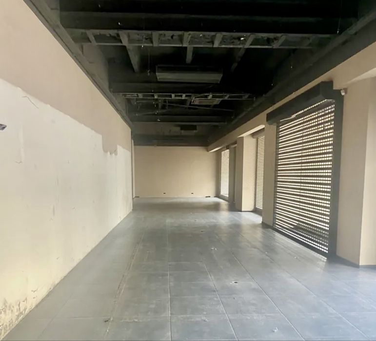 Фасад 250 м2, вул Велика Васильківька, пл.Українських Героєв, Гулівер