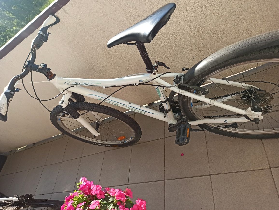 Rower kross hexagon f3