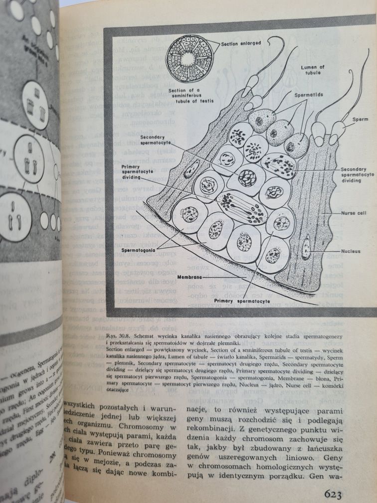Biologia - Claude A. Villee. Książka