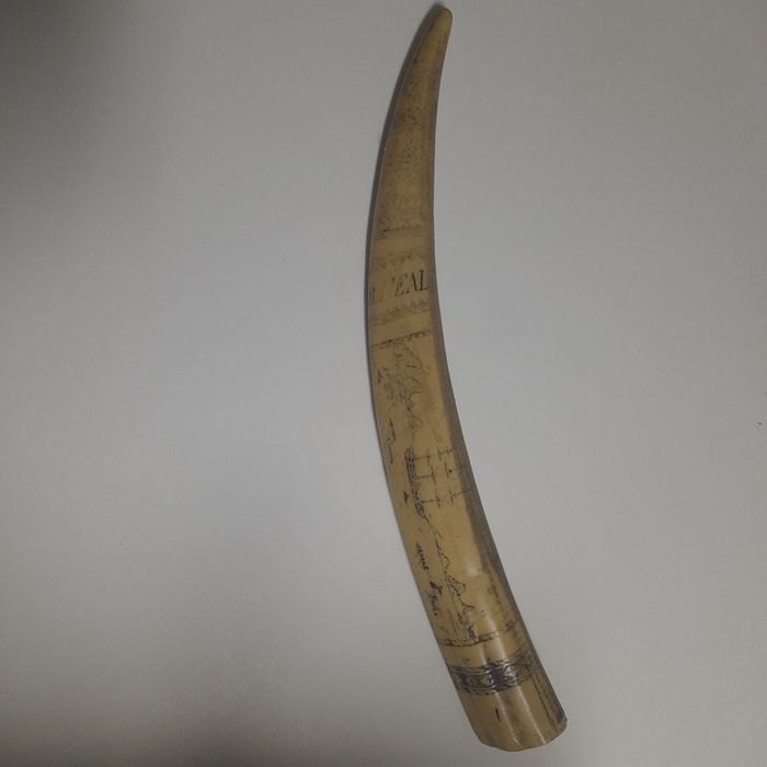 Presa Marfinite (com inscrições)