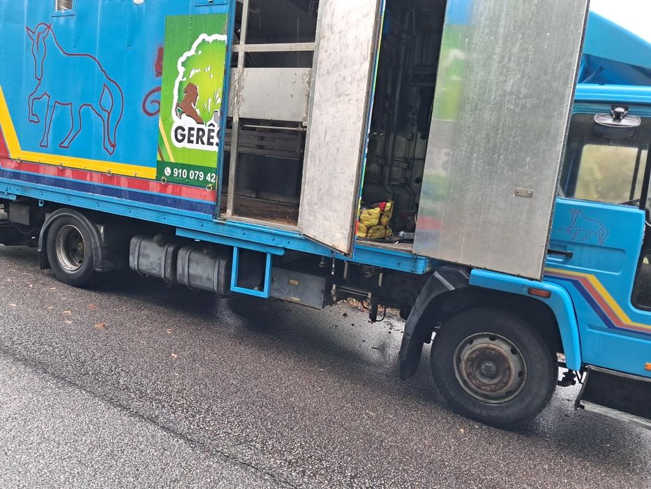 Vendo camião transporte de cavalos