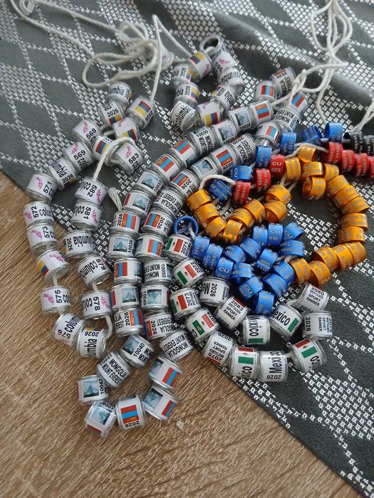 Obrączki dla gołębi pocztowych 2026