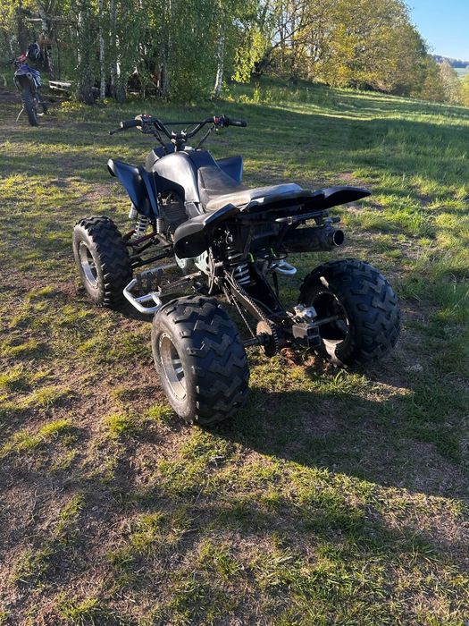 Bashan 200 eagle