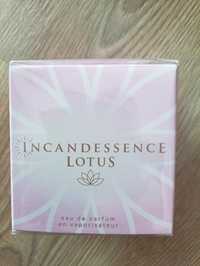 Lotus Incandessence Avon