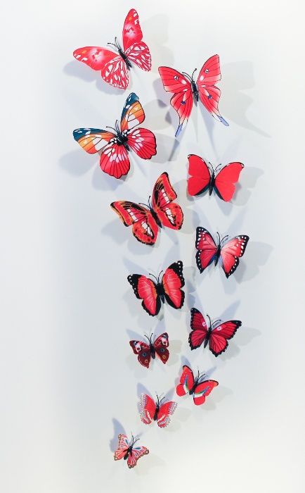 Conjuntos de 12 borboletas