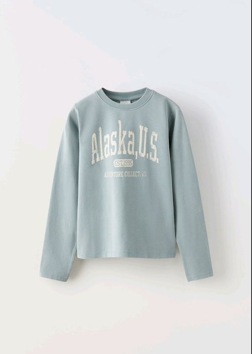 Стильний реглан для дівчинки Zara.