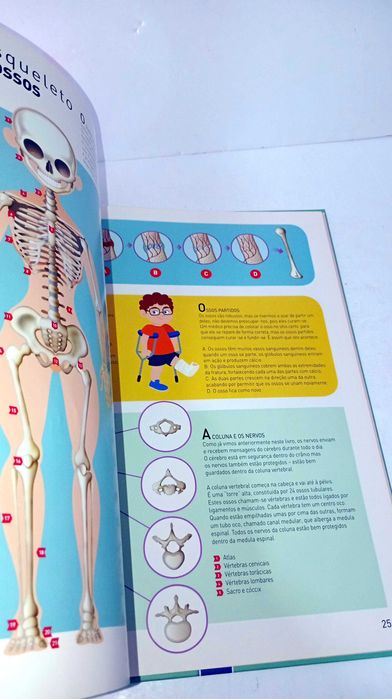 Fantástico - Atlas do Corpo Humano