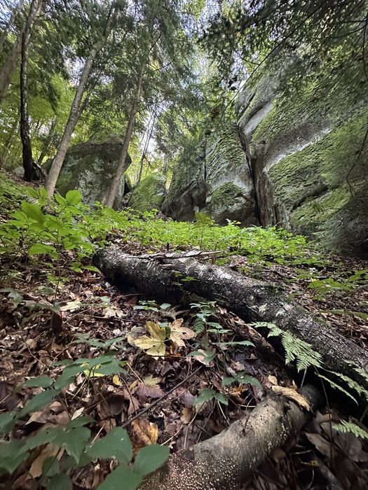 Екскурсії Караптами!Джипінг!Ексклюзивні екскурсії.Трускавець.Чан