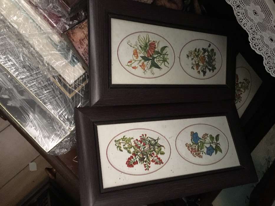 Vendo quadros. Paisagens.