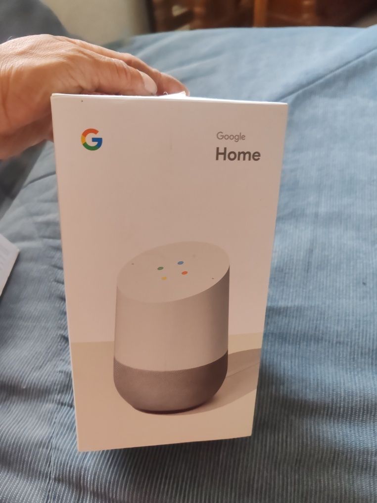 Google home e home mini