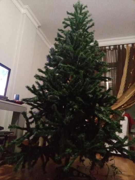 Árvore Natal Robusta