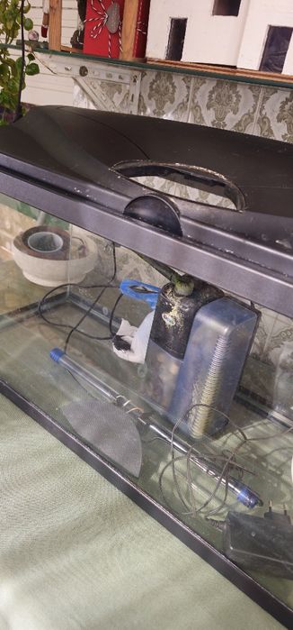 Aquario 90L com acessórios