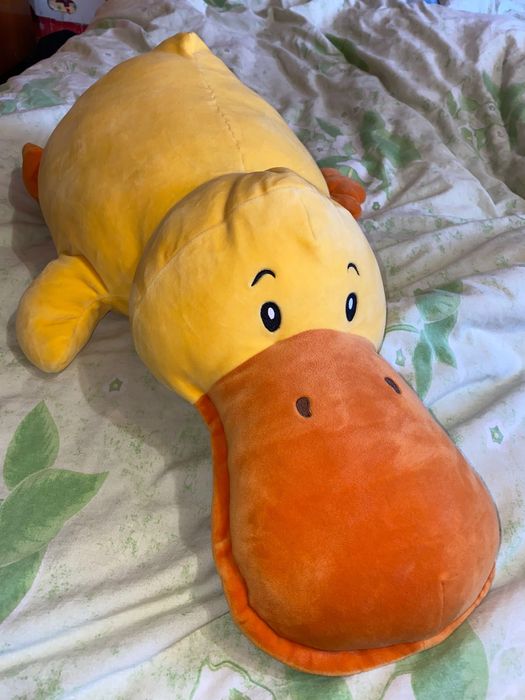 Качко дзьоб 65 см