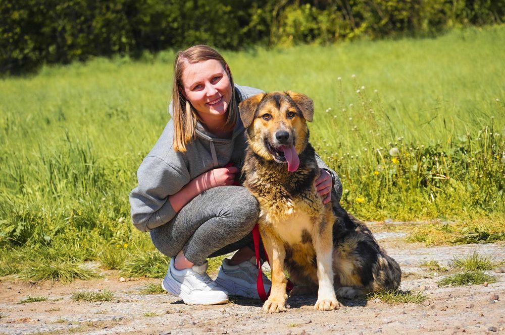 Dobosz radosny energiczny piesek