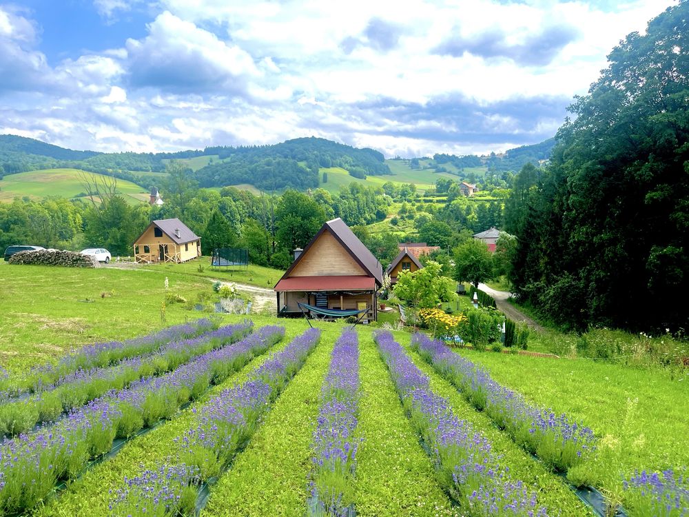 Domki caloroczne Bieszczady