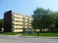mieszkanie w bloku w Tomaszowie Mazowieckim
