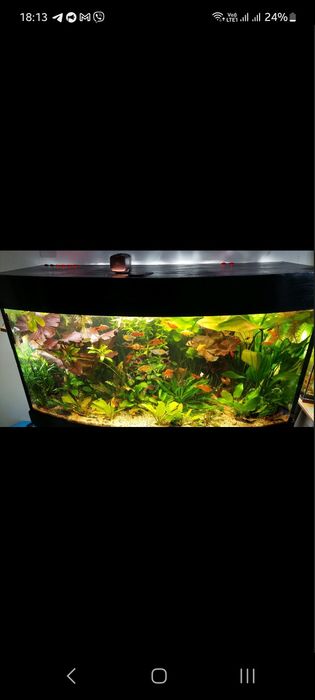 Панорамный акваріум 300 л.