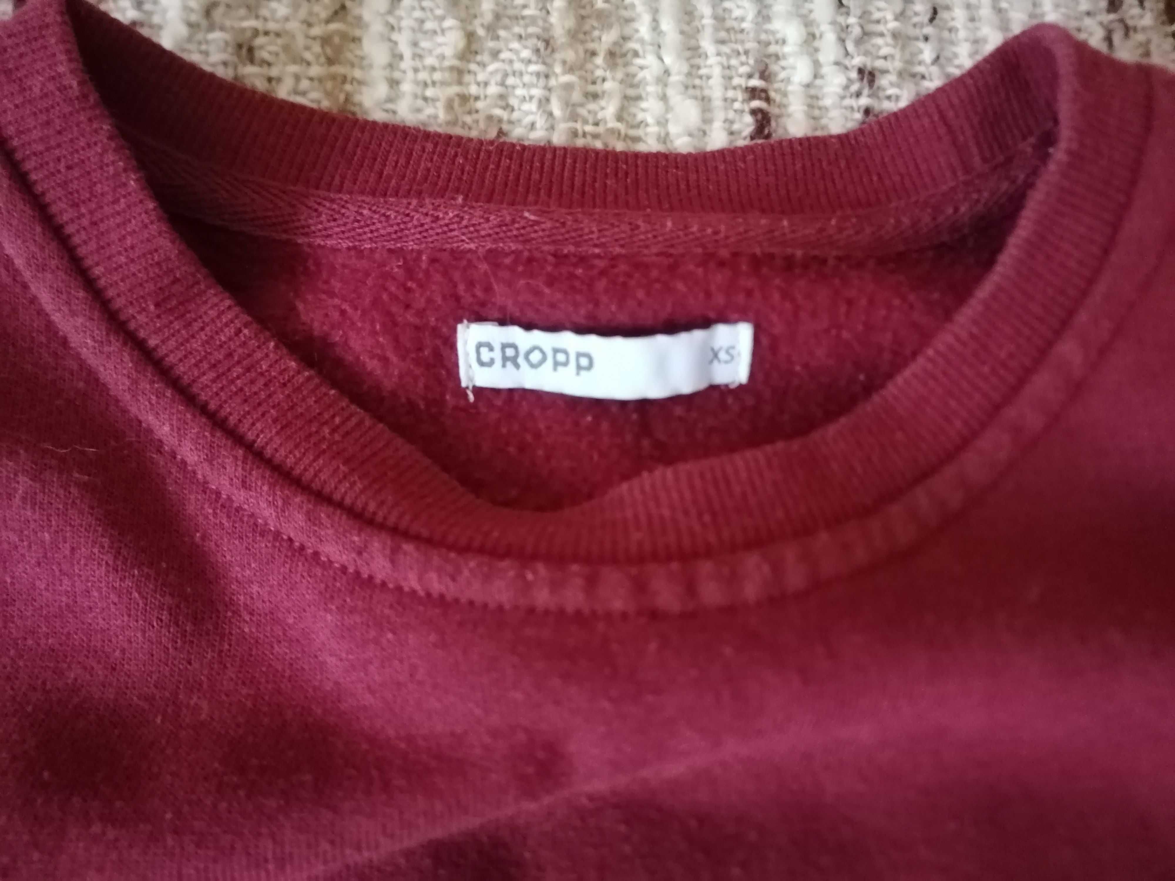 Bluza Cropp Wild,Wild West z długim rękawem. Bawełna.