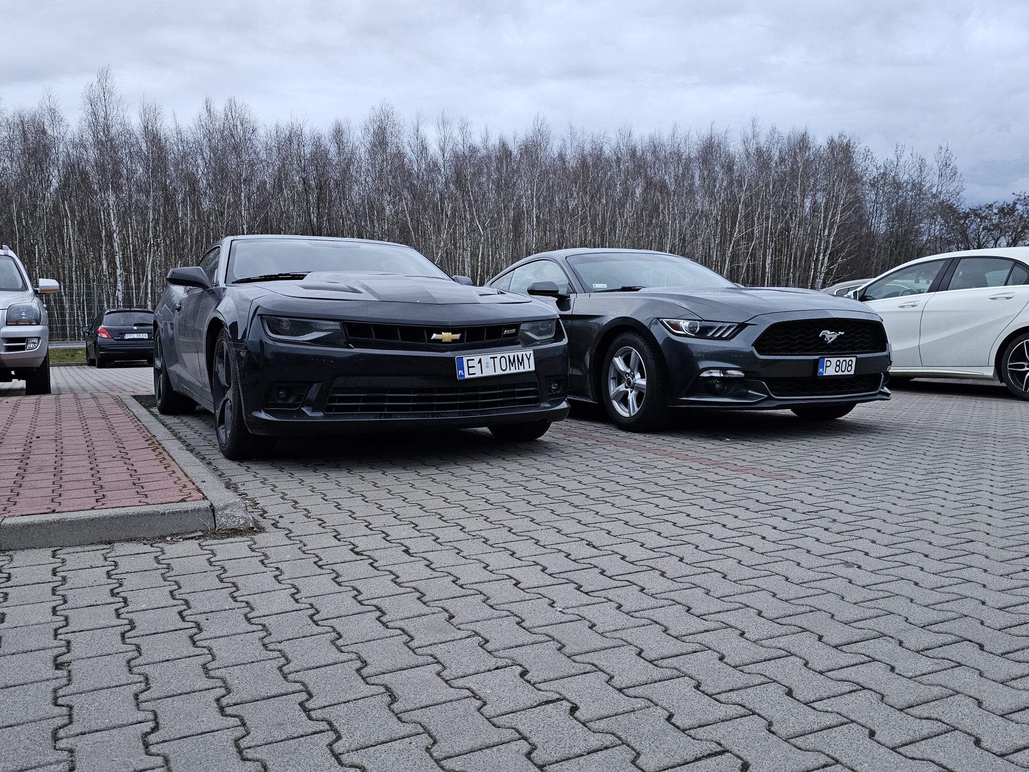 Wypożyczalnia Wynajem Camaro 6.2 SS 550KM Ford Mustang 2.3T 400KM WOLN