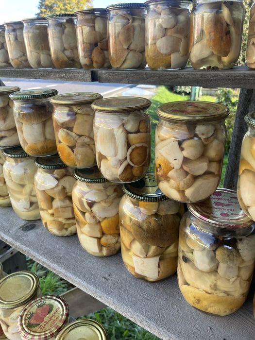 Гриби,білі мариновані,лисичка,опеньки,грузди