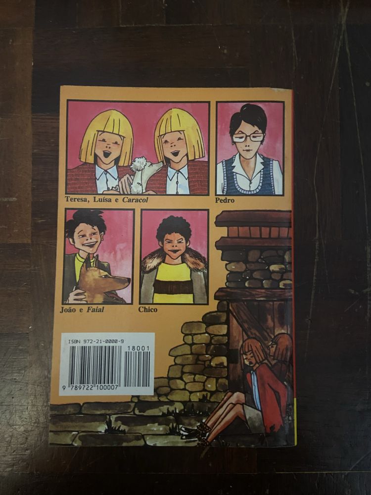 Livro - Uma Aventura na cidade