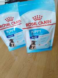 Karma dla psa Royal Canin Maxi Puppy