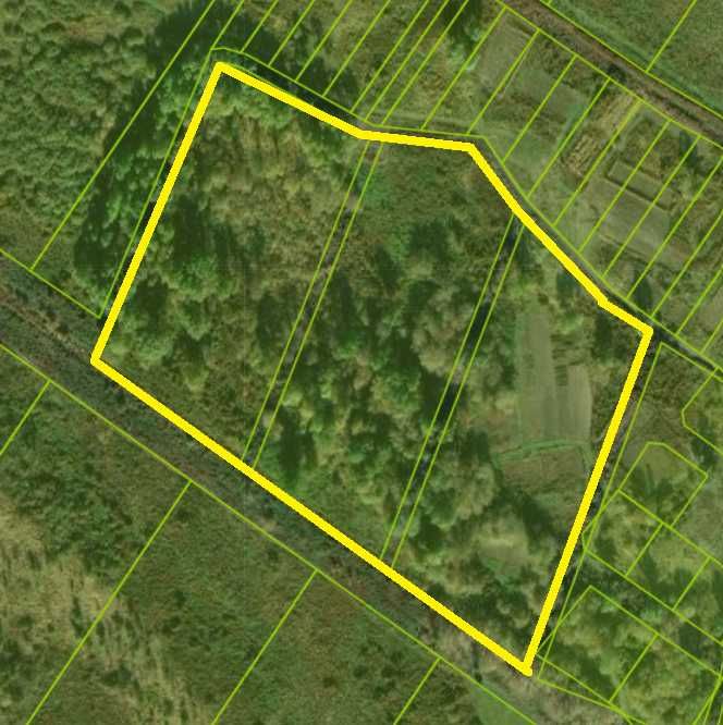 Продається Ділянка 6Га Бориспільський район