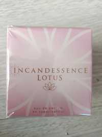 Incandessence Lotus