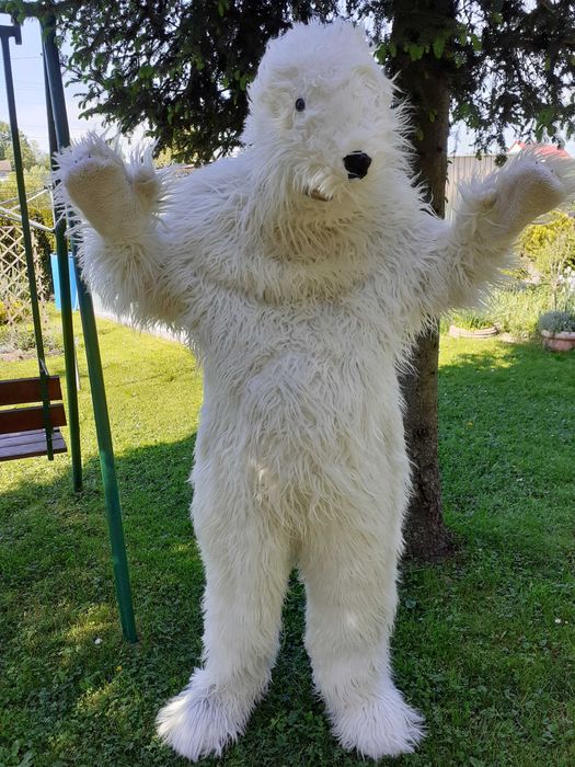 Kostium przebranie Mis