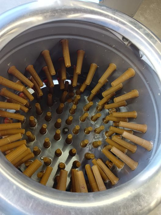 Wypożyczam Skubarka do drobiu kaczki kurczaki