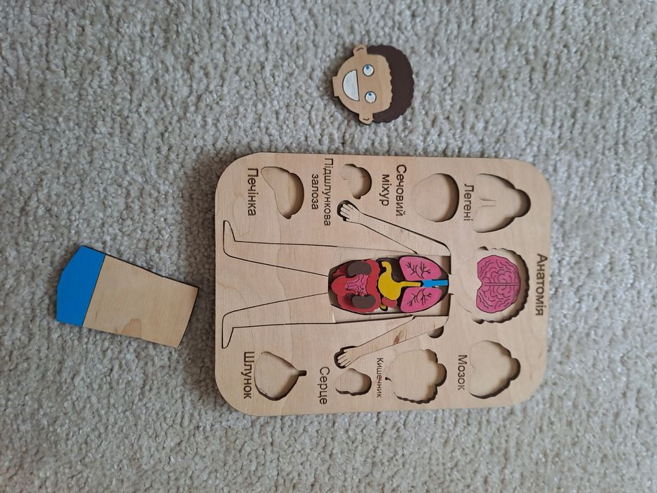 Дерев'яний пазл Анатомія людини
